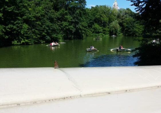 Nueva York Central Park