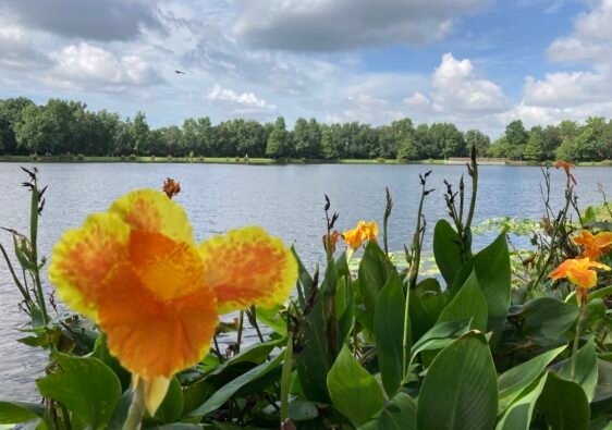 Parque en Orlando Estados Unidos