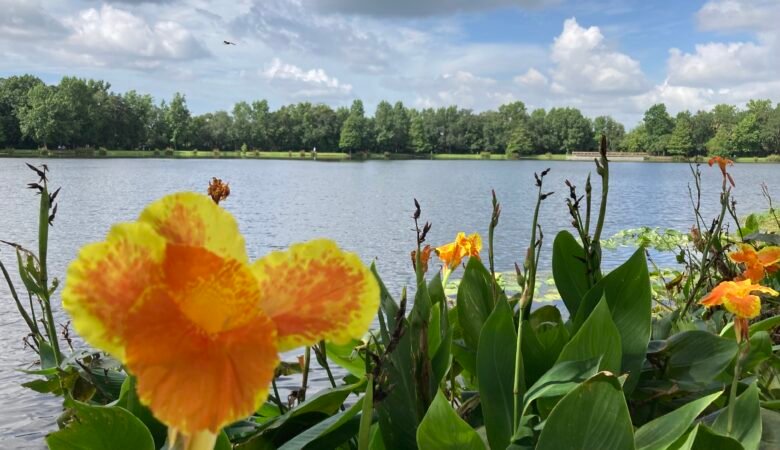 Parque en Orlando Estados Unidos