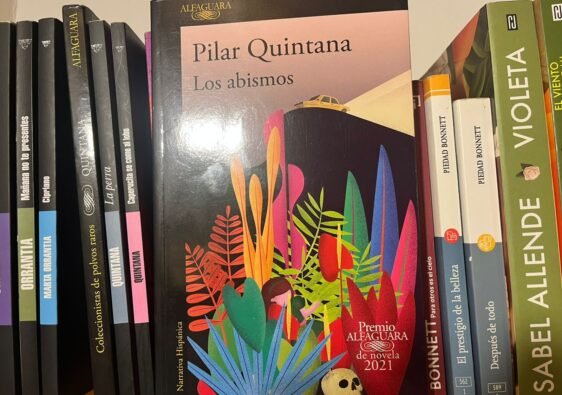 Portada Los Abismos de Pilar Quintana