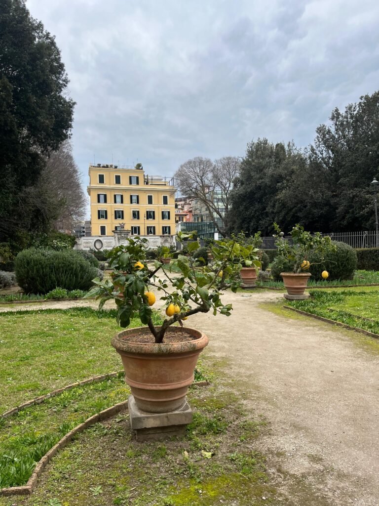 Jardín de naranjos y al fondo una casa amarilla rodeada de árboles en Villa Borghese