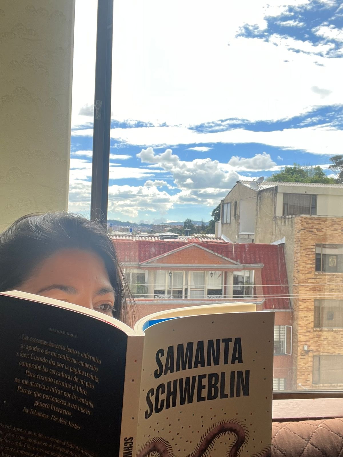 El cielo desde una ventana,  mientras Diana lee Distancia de rescate de Samanta Scheweblin
