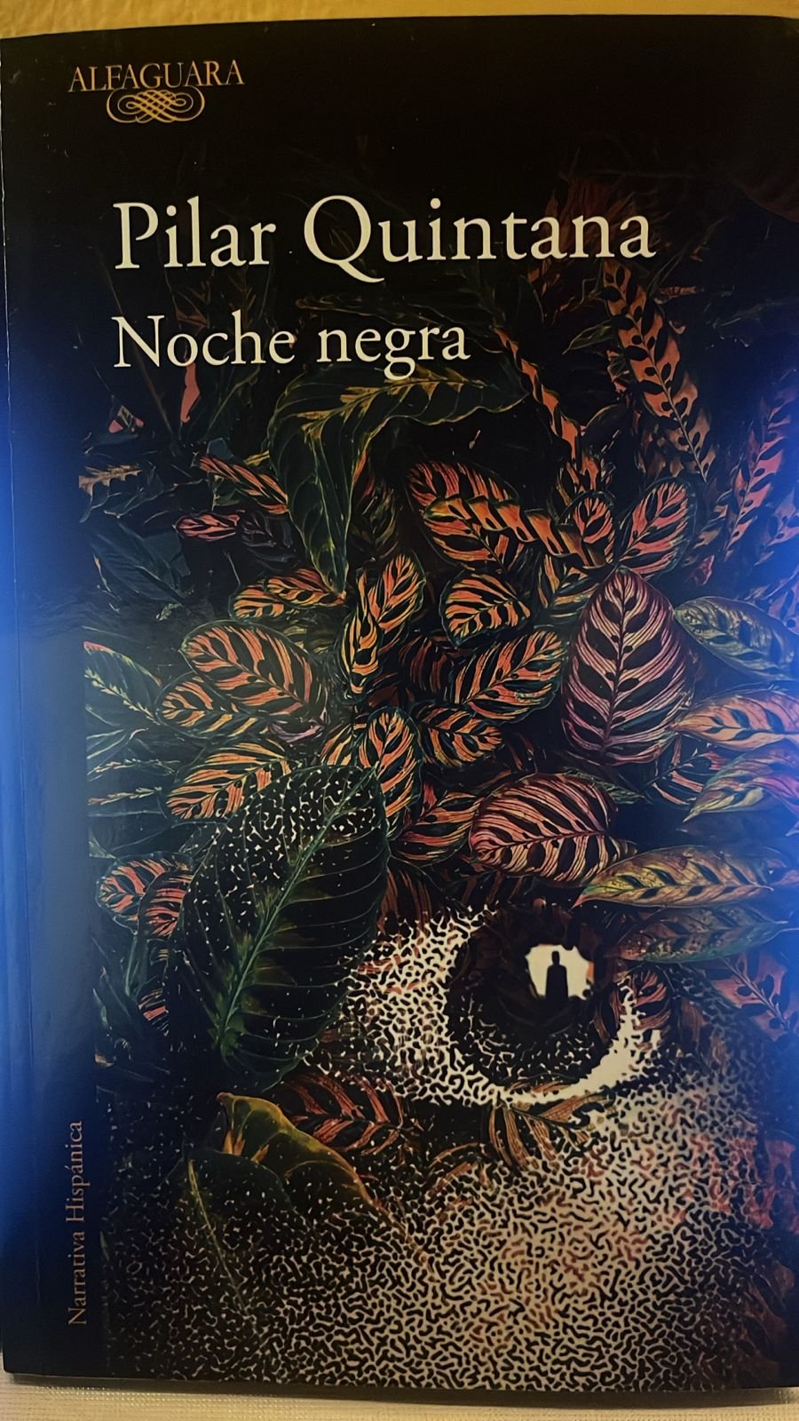 Portada del libro Noche negra de Pilar Quintana. Se ven unas hojas, un ojo y en el reflejo un hombre