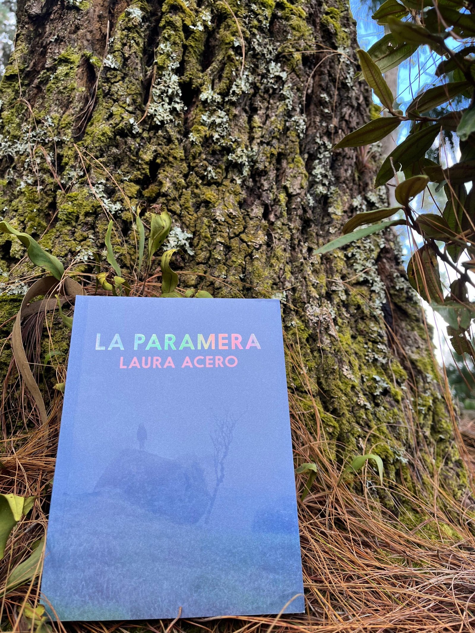 Sosteniendo el libro La Paramera de Laura Acero un árbol fuerte de Quebrada la Vieja